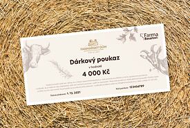 Dárkový poukaz 4000 Kč